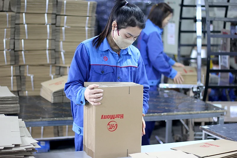 A Thanh Phat worker checking a finished carton